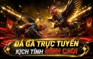 Đá Gà minusdrums